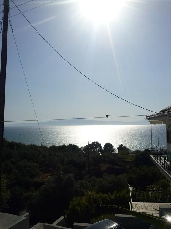 Apartment Villa Teo